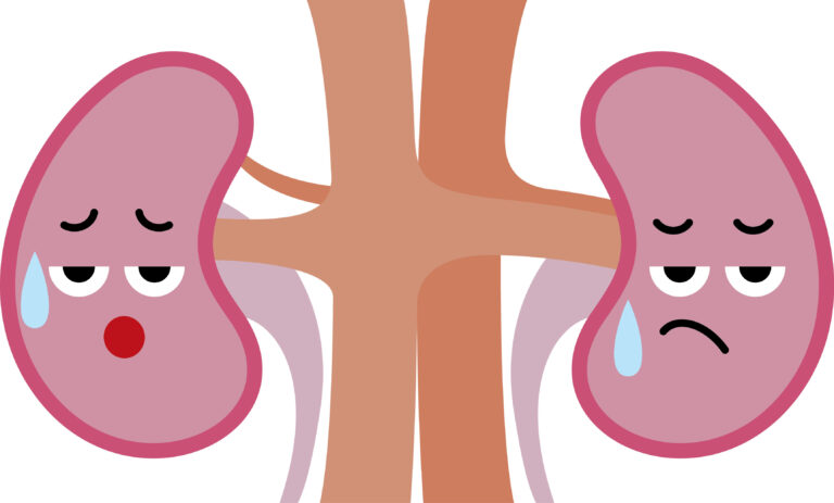 腎臓病について ④ -早期発見と生活習慣改善- - 漢方薬局けんこう屋